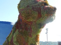 DSCN3126  Pup made of flowers