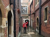 IMG 3632  In the rain at Hampton Court